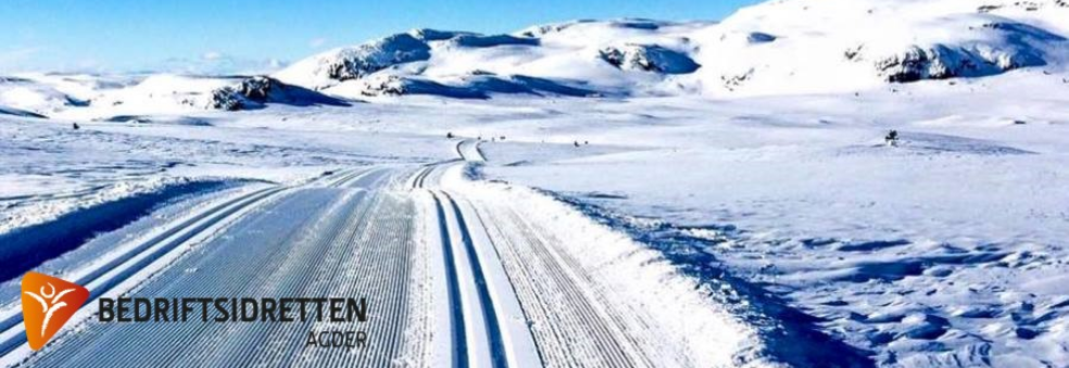 Teknikk-kurs ski